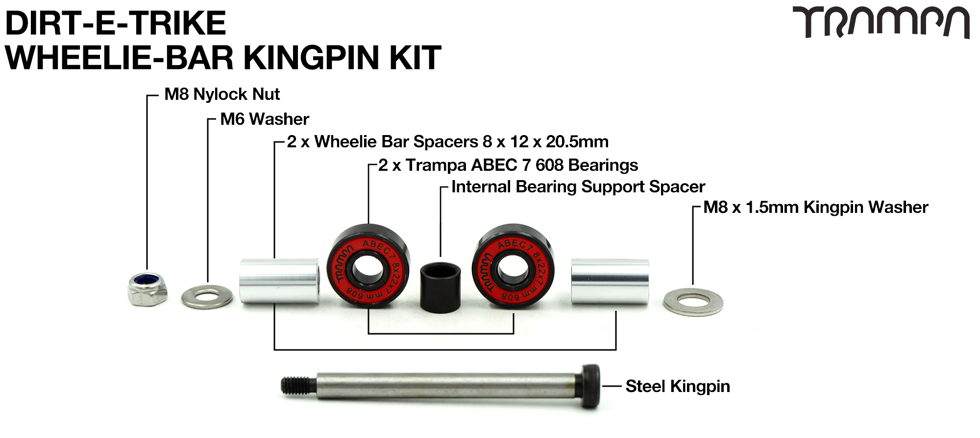 Dirt-E-Trike Wheelie-Bar Kingpin Kit